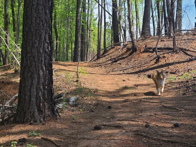 Discover the Piedmont Prairie Trail – McDowell Nature Preserve outdoor detail