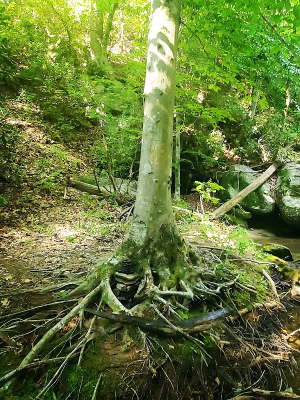Waterfall Wonder: Little Bradley Falls, Saluda, NC surrounding landscape
