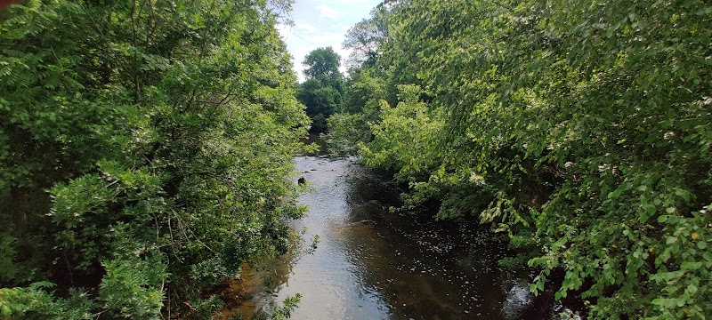 Serene Escape at Little Sugar Creek - Tanbark Place - Little Sugar Creek- Tanbark Place