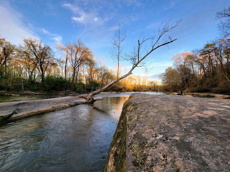 Tranquil Journey Along Neuse River Trail - Neuse River Trail