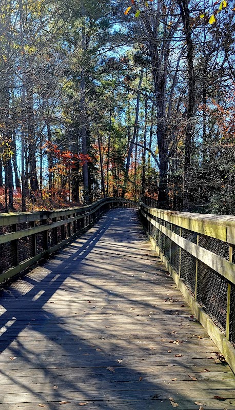 Biking Along the Neuse River Greenway - Neuse River Greenway
