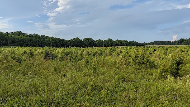 Horseshoe Farm Nature Preserve adventures