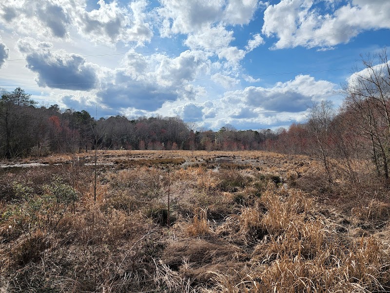 Serenity by the Neuse: Milburnie Park - Milburnie Park - Neuse River Trail Parking