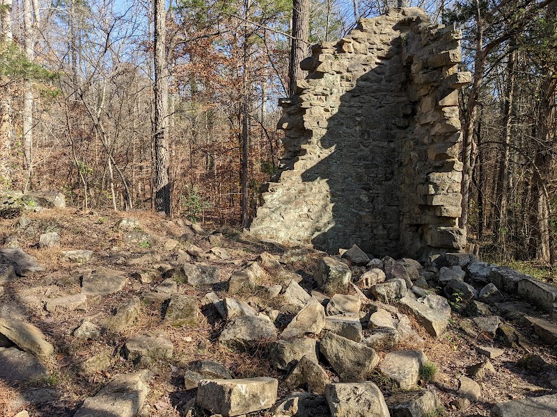 Tranquil Trails at Reedy Creek Park surrounding landscape