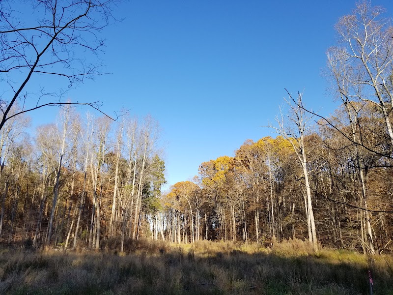 Tranquil Trails at Reedy Creek Park outdoor detail