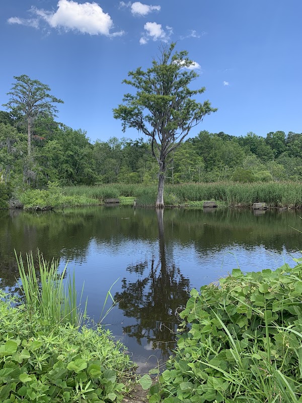 Nature's Retreat at Archie Blue Community Park - Archie Blue Community Park