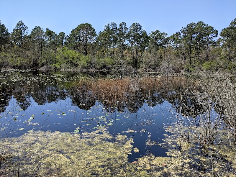 Tranquil Escape at Halyburton Park - Halyburton Park