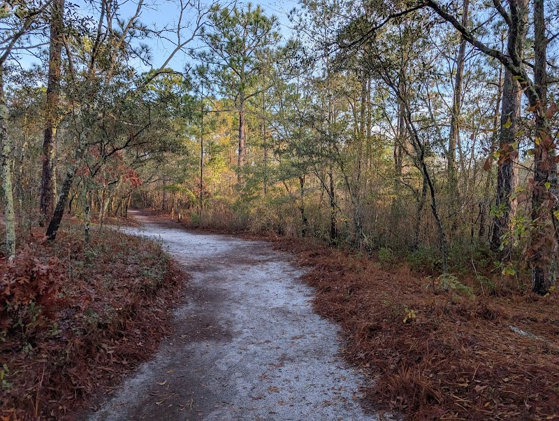 Tranquil Escape at Halyburton Park - Halyburton Park