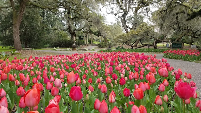 Enchanting Blooms of Airlie Gardens - Airlie Gardens