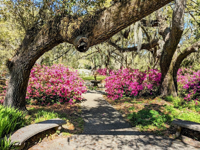 Enchanting Blooms of Airlie Gardens - Airlie Gardens