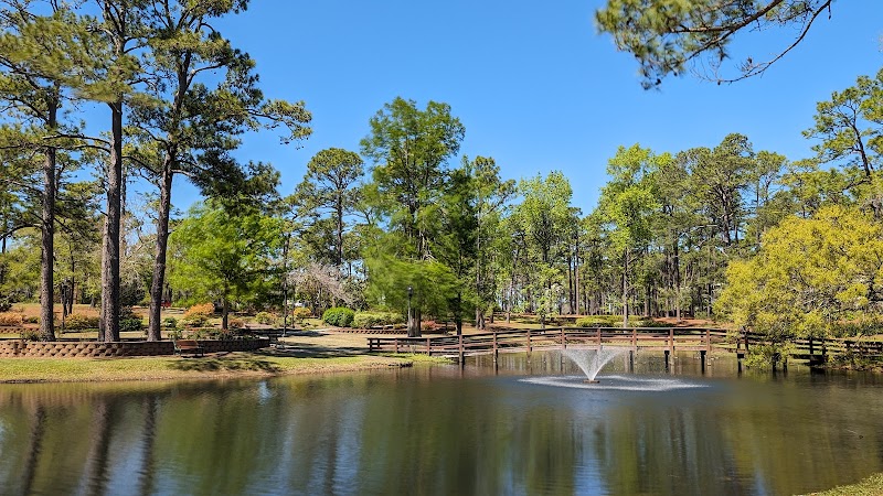 Nature's Retreat: Long Leaf Park, Wilmington - Long Leaf Park