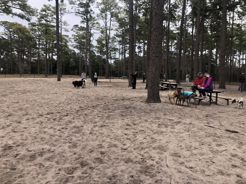Nature's Retreat: Long Leaf Park, Wilmington - Long Leaf Park