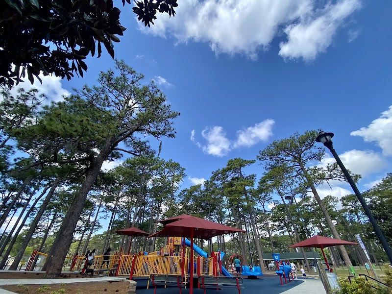 Nature's Retreat: Long Leaf Park, Wilmington surrounding landscape