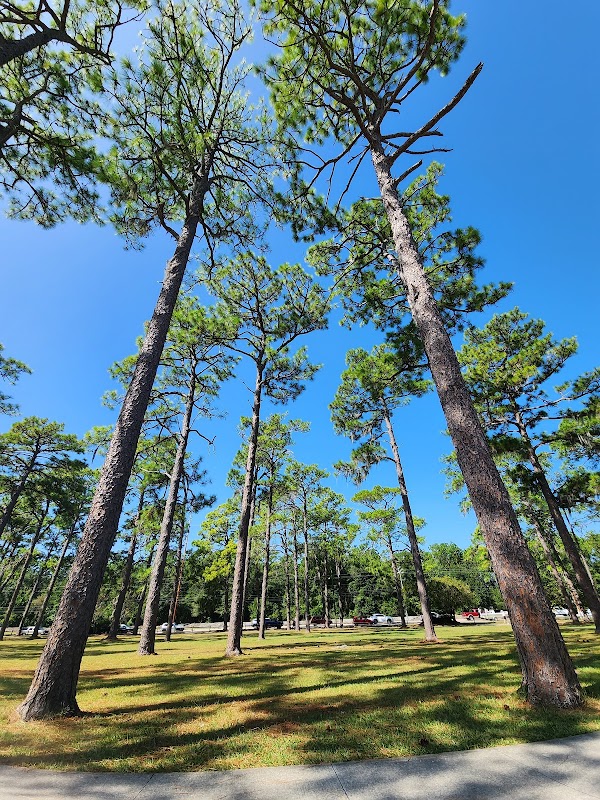 Nature's Retreat: Long Leaf Park, Wilmington - Long Leaf Park