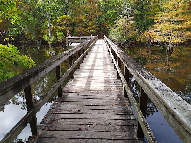Abbey Nature Preserve: A Peaceful Retreat in North Carolina - Abbey Nature Preserve