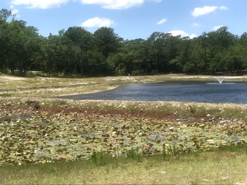 Nature Retreat at Veteran's Park - Veteran's Park - Nature Reserve and walking trails