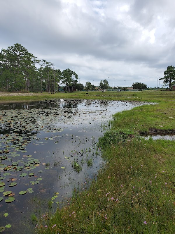Nature Retreat at Veteran's Park - Veteran's Park - Nature Reserve and walking trails