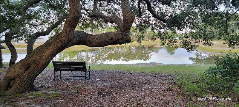 Nature Retreat at Veteran's Park surrounding landscape
