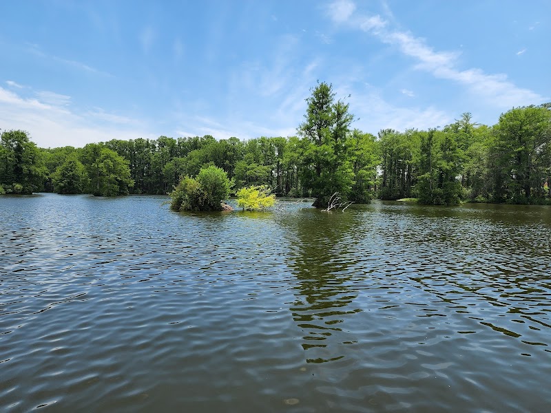 Discover Tranquility at Greenfield Park - Greenfield Park