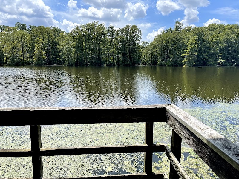 Discover Tranquility at Greenfield Park - Greenfield Park