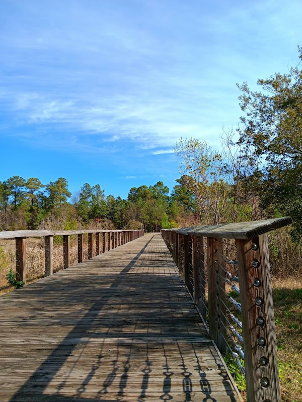 Discover Tranquility at Wade Park in Wilmington - Wade Park