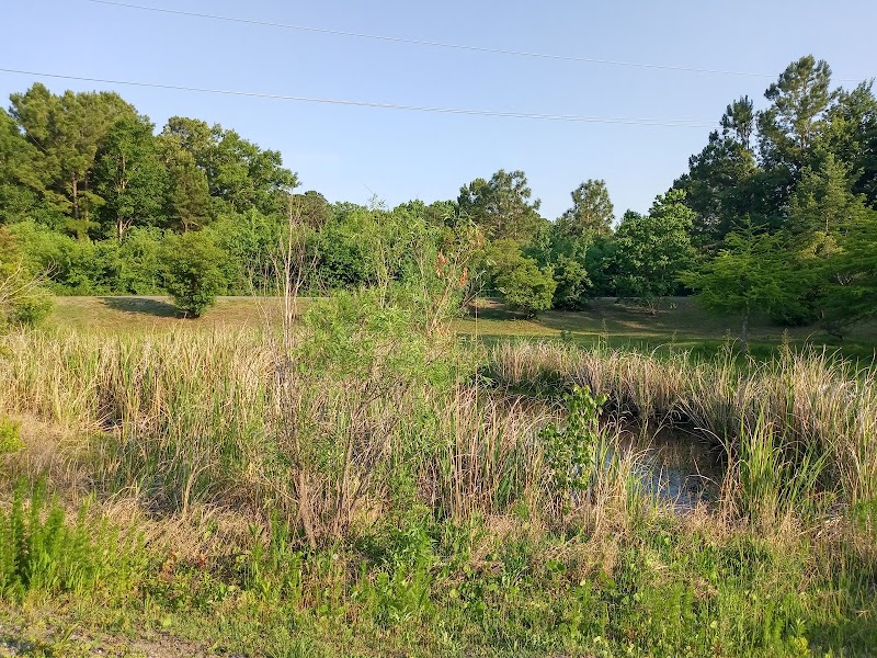 Discover Tranquility at Wade Park in Wilmington - Wade Park