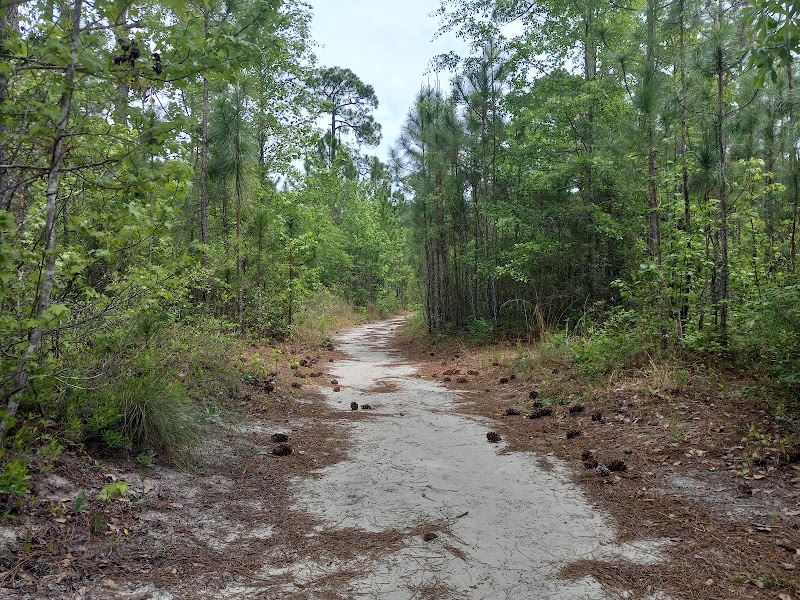 Nature's Retreat on Park Preserve Trail - Park Preserve Trail