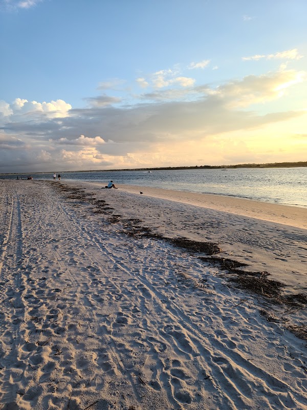 Coastal Wonders of Masonboro Island Reserve outdoor detail