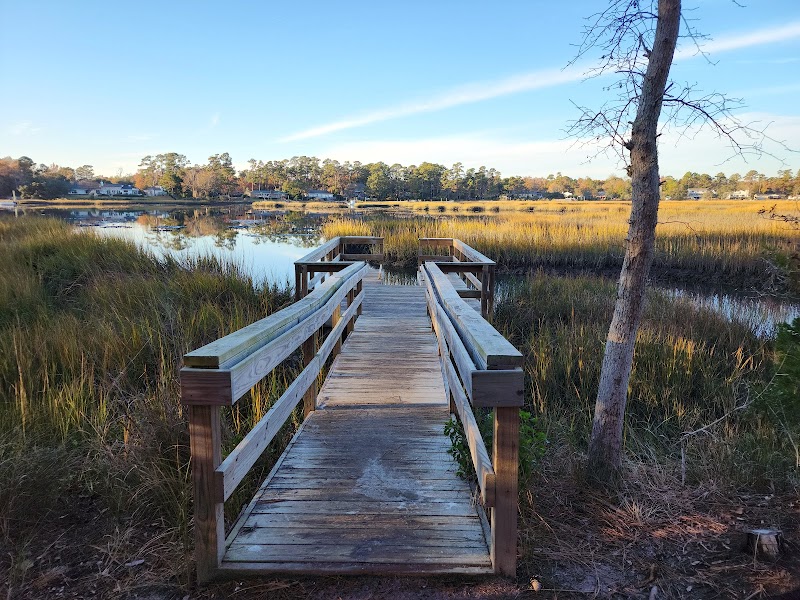 Nature's Tranquil Escape: Pages Creek Park Preserve - Pages Creek Park Preserve