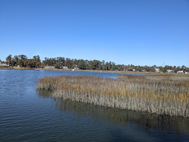 Nature's Tranquil Escape: Pages Creek Park Preserve - Pages Creek Park Preserve