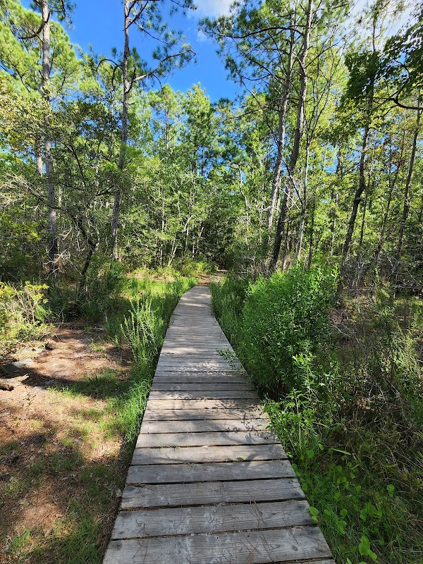 Nature's Tranquil Escape: Pages Creek Park Preserve - Pages Creek Park Preserve