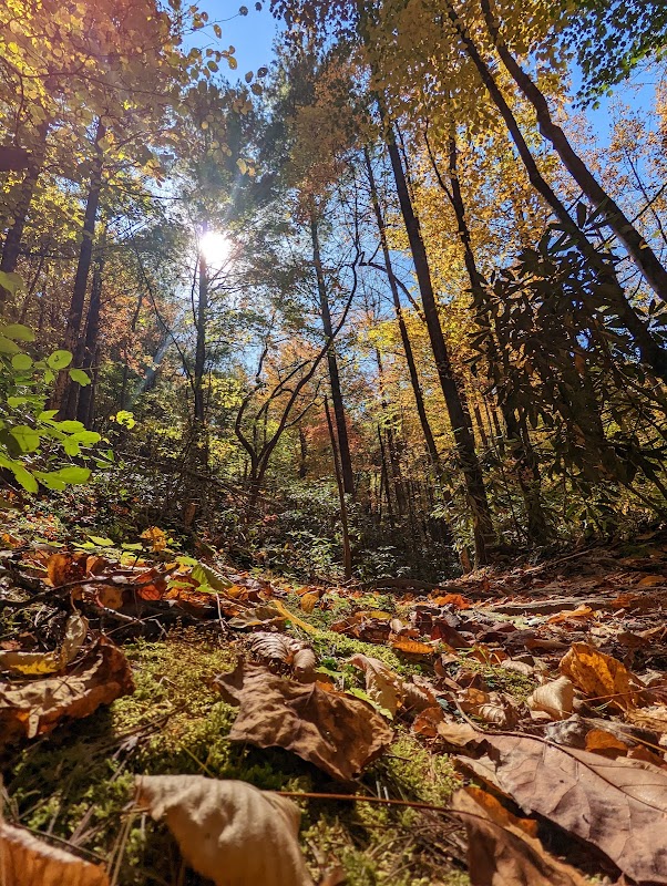 Hiking at Spence Ridge Trailhead - Spence Ridge Trailhead