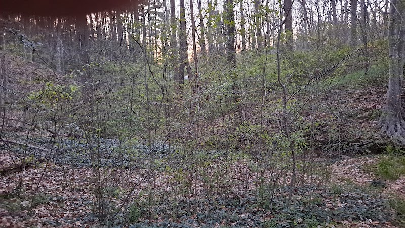 Cascade Forest Wonderland - Cascade Forest-Morehead Park