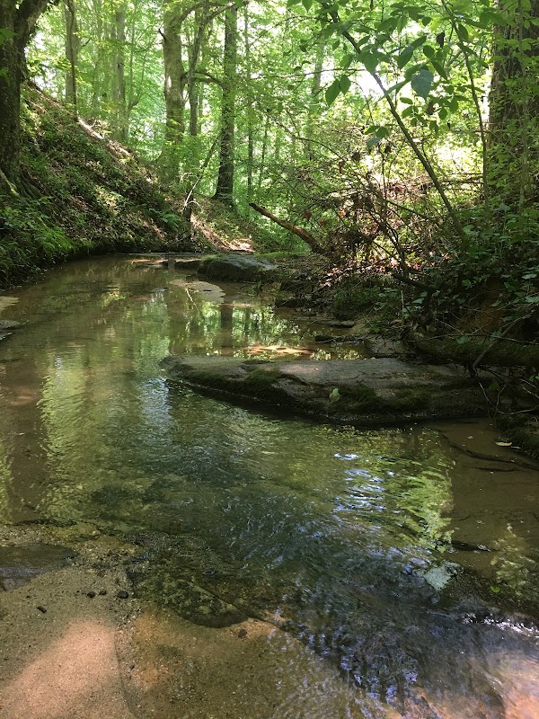 Cascade Forest Wonderland - Cascade Forest-Morehead Park