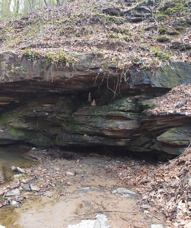 Cascade Forest Wonderland - Cascade Forest-Morehead Park