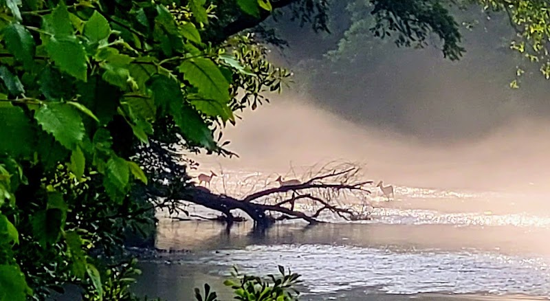 Discover the Greenway Trails of Morganton - Greenway Trails (Morganton)
