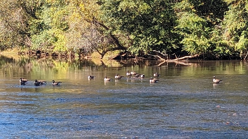 Discover the Greenway Trails of Morganton - Greenway Trails (Morganton)