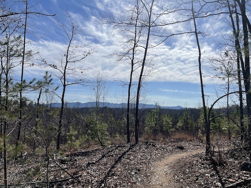 Discover Oak Hill Community Park and Forest: A North Carolina Gem - Oak Hill Community Park and Forest