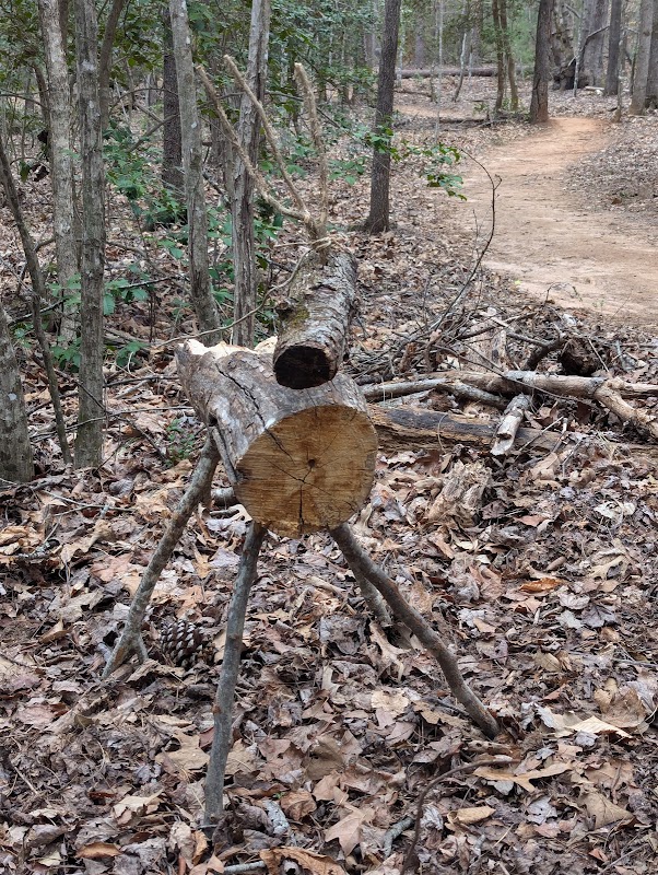 Discover Oak Hill Community Park and Forest: A North Carolina Gem - Oak Hill Community Park and Forest