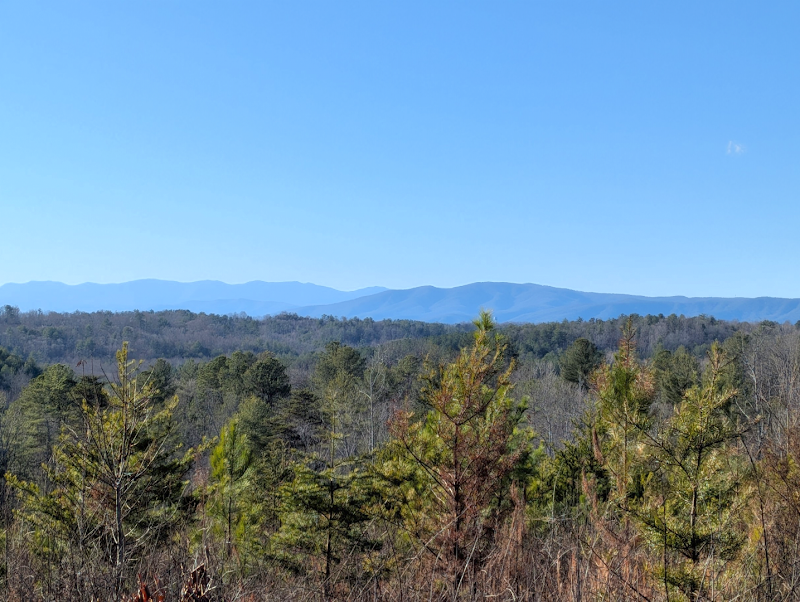 Discover Oak Hill Community Park and Forest: A North Carolina Gem - Oak Hill Community Park and Forest