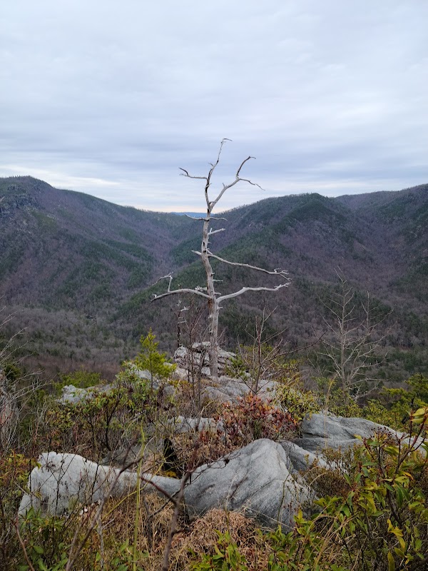 Discover Pinch In Trail's Majestic Views - Pinch In Trail
