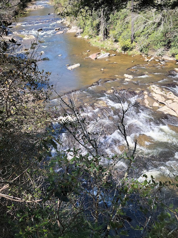 Majestic Views at Bynum Bluff Trailhead - Bynum Bluff Trailhead