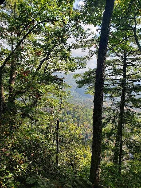 Majestic Views at Bynum Bluff Trailhead - Bynum Bluff Trailhead