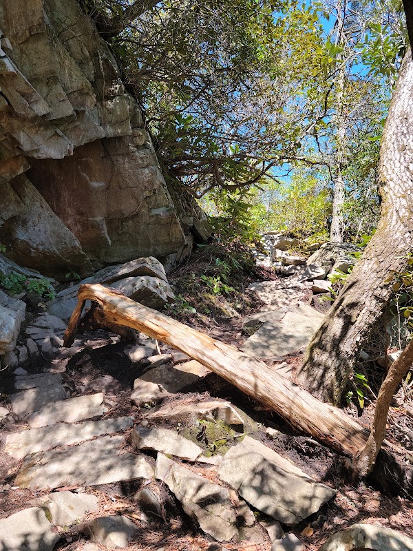 Majestic Views at Bynum Bluff Trailhead surrounding landscape