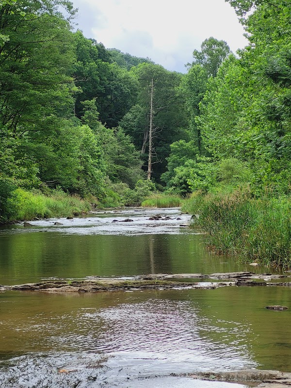 Majestic Views at Bynum Bluff Trailhead outdoor detail