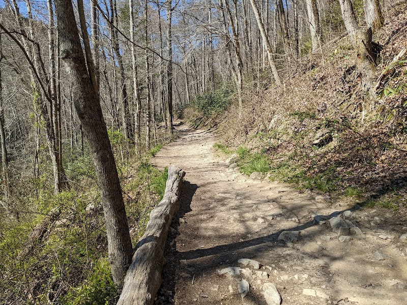 Catawba Falls: Nature's Gem in Old Fort outdoor detail