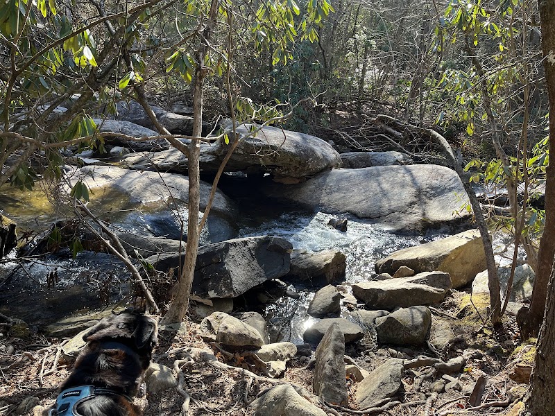 Discover the Beauty of Wintergreen Falls outdoor detail