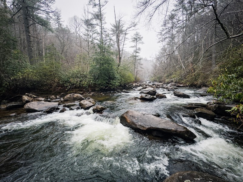 Discover the Majestic Rainbow Falls in North Carolina surrounding landscape