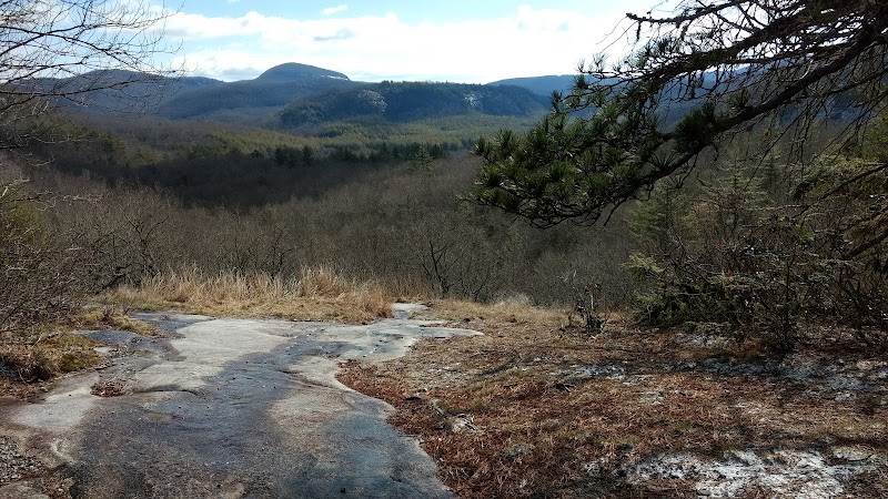 Discover the Tranquility of Wilderness Falls - Wilderness Falls