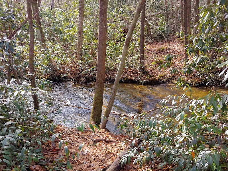 Discover the Tranquility of Wilderness Falls - Wilderness Falls